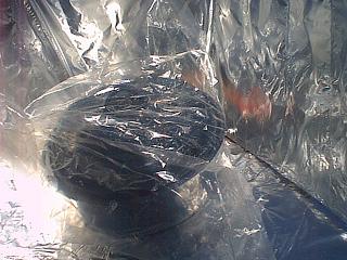 Chicken cooking